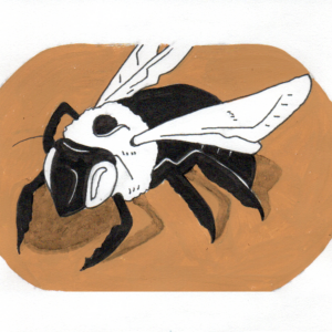 Black and white ink drawing of a bumblebee on an orange field.