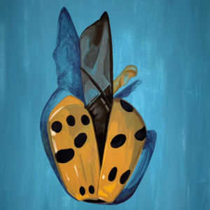 Asian Lady Beetle Blossom 0207, 2025