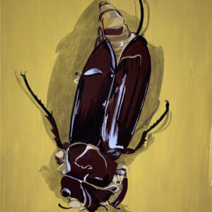Beetle Roseville 070425