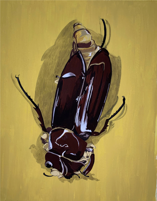 Beetle Roseville 070425