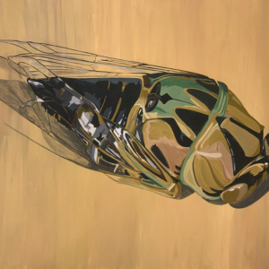 Cicada Blossom 0812