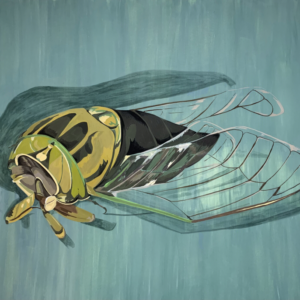 Cicada Blossom 0813