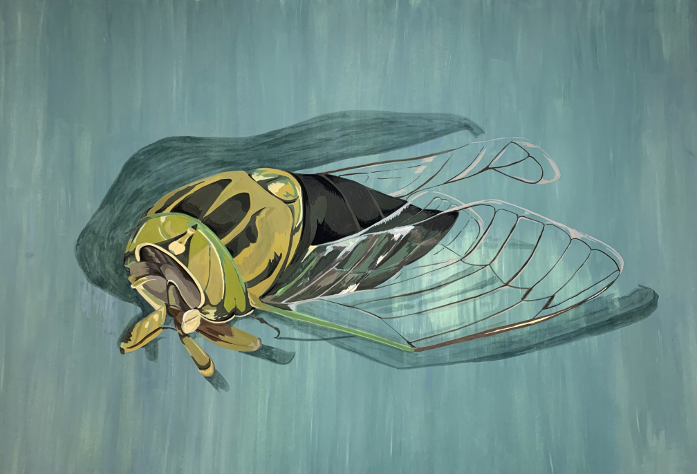 Cicada Blossom 0813
