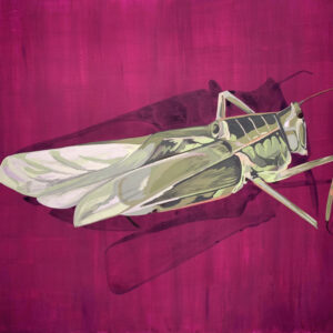 Katydid State 090725