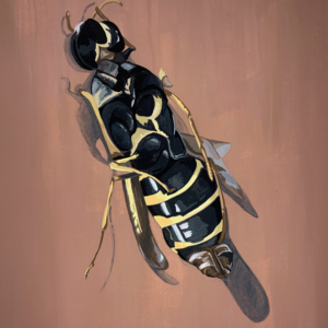 Yellow Jacket Mifflin 1201