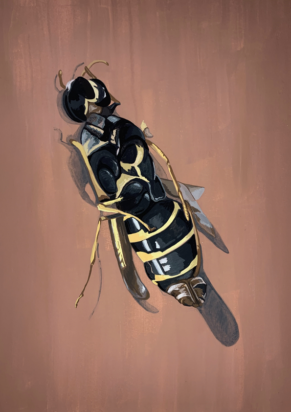 Yellow Jacket Mifflin 1201