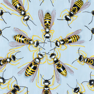 yellow jackets in a circle viewed from overhead.
