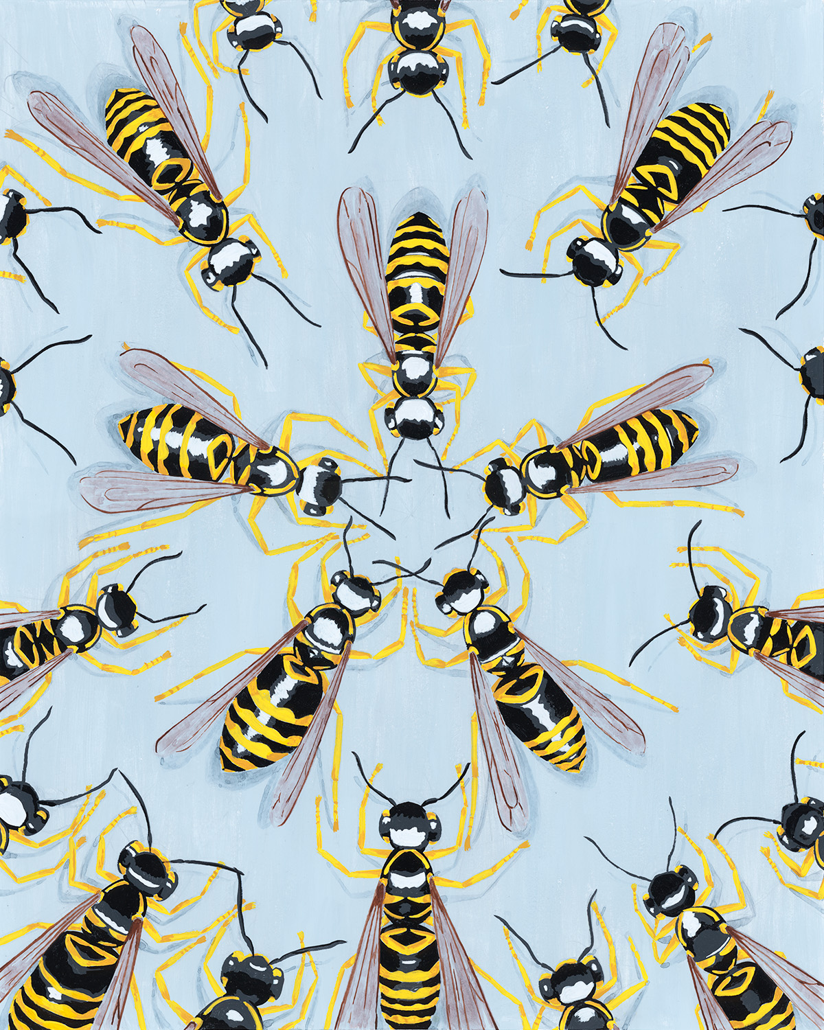 yellow jackets in a circle viewed from overhead.